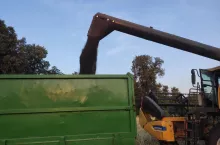 908550