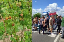 fot. poglądowe Protest plantatorów w Annopolu w 2023 r.
