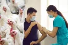 665 tys. szczepionek dla rolników przeciwko grypie ptaków. Kto w pierwszej kolejności?