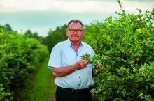 Pan Jerzy Wilczewski właściciel największej w Polsce plantacji borówki.