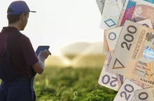 Rolnicy mogą się ubiegać o środki finansowe z Funduszu Gwarancji Rolnej.