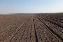 Dania: Rolnictwo bezorkowe jest trendem
