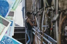 Ile Justyna Maciorowska z Rolnicy Podlasie płaci pracownikom w gospodarstwie?