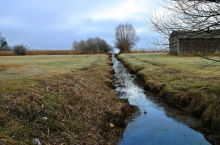 Do działań spółek wodnych należy utrzymanie wód i urządzeń wodnych.