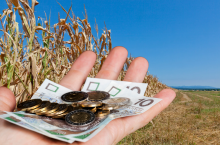 Czy ARiMR może obciąć pomoc suszową w przypadku przekazania gospodarstwa?