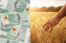Rząd przedłuża o pół roku akcję tanich kredytów dla rolników