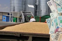 Jakie są aktualne ceny skupu zbóż i rzepaku?