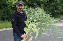 Jarosław Miściur miał rekordowe plony rzepaku. Na jakie nawożenie i ochronę herbicydową stawia?