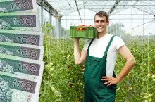 Młodzi rolnicy od dziś mogą składać wnioski o premię dla młodych rolników.