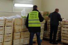 Kontrole fitosanitarne PIORiN