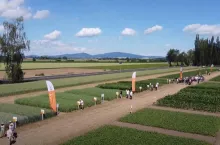 Dni Pola KWS, Kondratowice