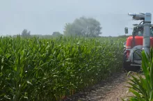 Problemem są aspekty techniczne wykonania chemicznego zabiegu na omacnicę. Zdecydowanie najlepsze są do tego opryskiwacze szczudłowe, ale w praktyce przy założonych ścieżkach technologicznych egzamin zdają opryskiwacze turbinowe