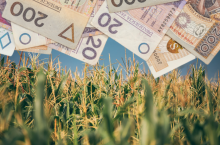 Do tej pory Agencja Restrukturyzacji i Modernizacji Rolnictwa zarejestrowała blisko 997 tys. wniosków. Rolnicy, którzy nie mają komputerów, mogą liczyć na techniczne wsparcie ze strony pracowników ARiMR. Wszelkie wątpliwości można konsultować również za pośrednictwem infolinii Agencji. Bezpłatną pomocą służą również eksperci z Ośrodków Doradztwa Rolniczego.