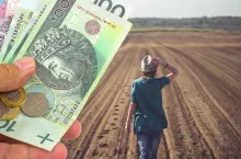 ARiMR ogłasza: Dopłaty do ugorowania w ramach nowego ekoschematu