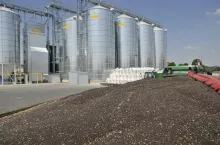 rzepak w punkcie skupu