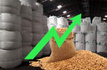 ceny nawozów, a ceny w skupie