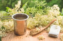 Kiedy najlepiej zerwać kwiaty czarnego bzu