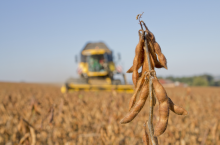 Zbiory soi w Unii Europejskiej