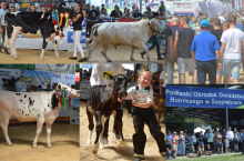 Pod koniec tygodnia rozpoczną się targi Szepietowo.