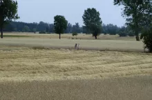 KRUS podał dane statystyczne dotyczące wypadków przy pracy.