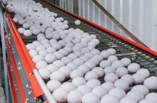 Według danych Ministerstwa Rolnictwa, w pierwszych trzech kwartałach 2023 roku import jaj z Ukrainy wzrósł o 755% w porównaniu do 2021 roku.