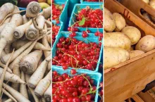 Ceny warzyw i owoców w czerwcu 2024 r.