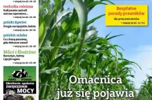 Tygodnik Poradnik Rolniczy nr 25/2024