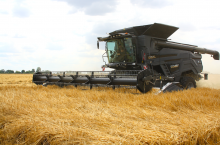 Żniwa się rozkręcają, a ceny zbóż spadają! Raport z rynków rolnych