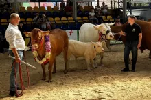 Krajowa Wystawa Bydła Mięsnego w Szepietowie. Superczempionka