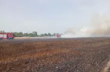 Strażacy przed dwie godziny walczyli z pożarem zboża na pniu w miejscowości Gortatowo.