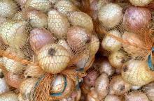 Cebula rynek w Broniszach