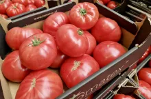 Pomidory malinowe Bronisze