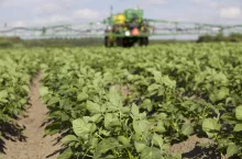 Ekoschematy: termin siewu i oprysków wpływa na dopłaty