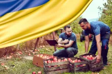 Pracownicy rolni z Ukrainy: do kiedy ich pobyt w gospodarstwie jest legalny?
