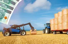 Ceny słomy w żniwa 2024: ile za belę, ile za zbiór własny?