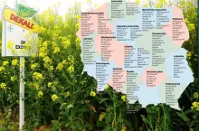 Rzepak ozimy: lista odmian zalecanych na sezon 2024/25