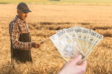 Wskaźnik przeciętnego dochodu z ha ogłoszony 21 września 2023 r. przez GUS jest o 2 200 zł wyższy niż w poprzednim roku i wynosi 5 549 zł.