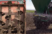 Nawożenie rzepaku przed siewem
