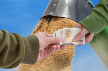 Ruszył nabór wniosków na dopłaty do zbóż. Sprawdź warunki!