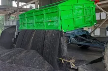 Ceny rzepaku: jakie są stawki w skupie 5 lipca 2024?