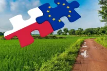 Jak zmieniła się polska wieś przez 20 lat w UE? Ministerstwo czeka na zdjęcia od rolników