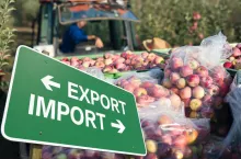 Dokąd wysyłamy polskie jabłka? Najwięcej trafia na wschód