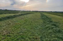 Kolejne zakazy dla rolników posiadających TUZ. Jak minister się tłumaczy?