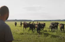 Zapraszamy na cykl odcinków o AG Hodowli!