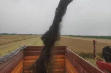 908729