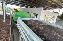 Rzepak na Matifie runął. Duże spadki cen rzepaku też w Polsce - nawet o 120 zł