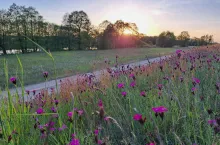Całkowity zakaz przekształcania TUZ na obszarze Natura 2000