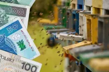 Dopłaty do pszczół 2024: można składać jeszcze wnioski do ARiMR