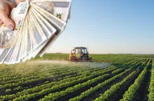 Płatność dla małych gospodarstw 2024: ARiMR wydłuża termin naboru wniosków