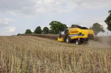 koszony rzepak na polu